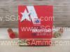 250 Round Case - 410 Gauge 2.5 Inch 1/2 Ounce 9 Shot Stars and Stripes Target Load Ammo - CT41009